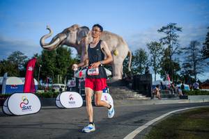 BIB: 
                            <button type="button" onclick="openModal(26541993)" class="btn btn-primary btn-sm float-right btn-popup" data-toggle="modal" data-target=".modal-high-quality">
                        <i class="fas fa-shopping-cart"></i> Add to Cart
                    </button>
                                            <button type="button" onclick="isThisMe(26541993, true)" class="btn btn-success btn-sm float-right btn-popup btn-isme hidden" data-toggle="tooltip" data-placement="bottom" title="นี่คือรูปของคุณใช่ไหม คลิกที่นี่เพื่อเอาเข้าอัลบั้ม">
                        <i class="fas fa-plus"></i> Add to album
                    </button>
                    <button type="button" onclick="isThisMe(26541993, false)" class="btn btn-warning btn-sm float-right btn-popup btn-isnotme hidden">
                        <i class="fas fa-ban"></i> Remove from album
                    </button>